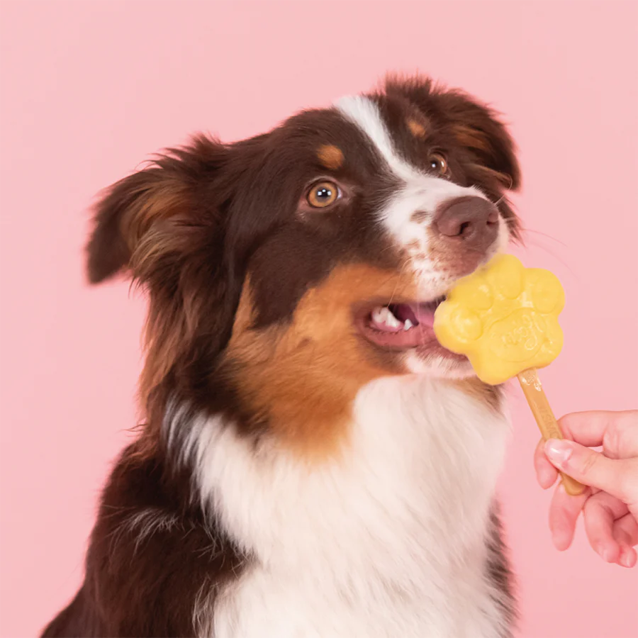 Apple Mix for Dog Ice Cream - Image 4