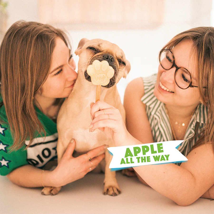 Apple Mix for Dog Ice Cream - Image 5