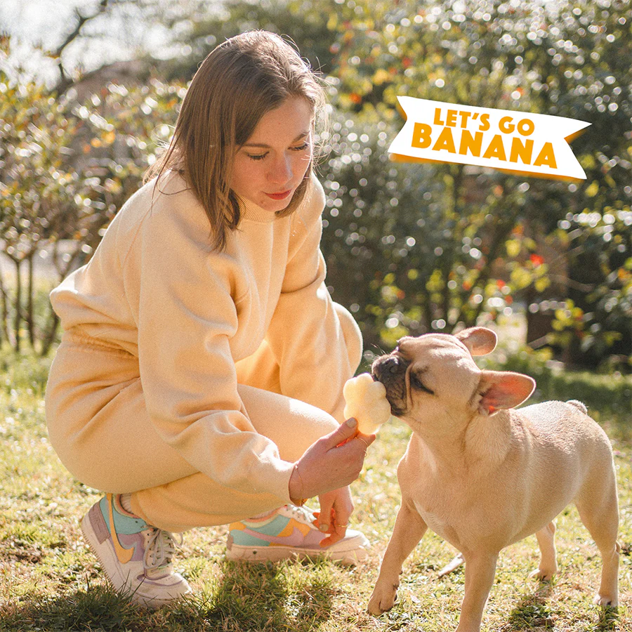Banana Mix for Dog Ice Cream - Image 4