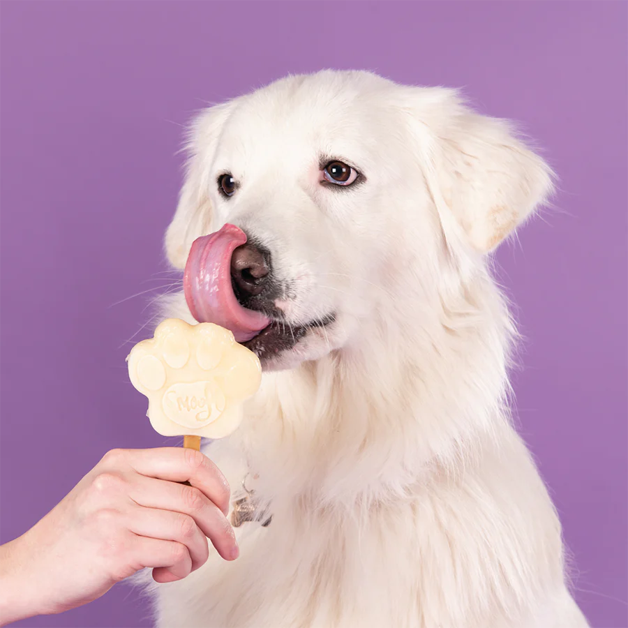 Banana Mix for Dog Ice Cream - Image 5