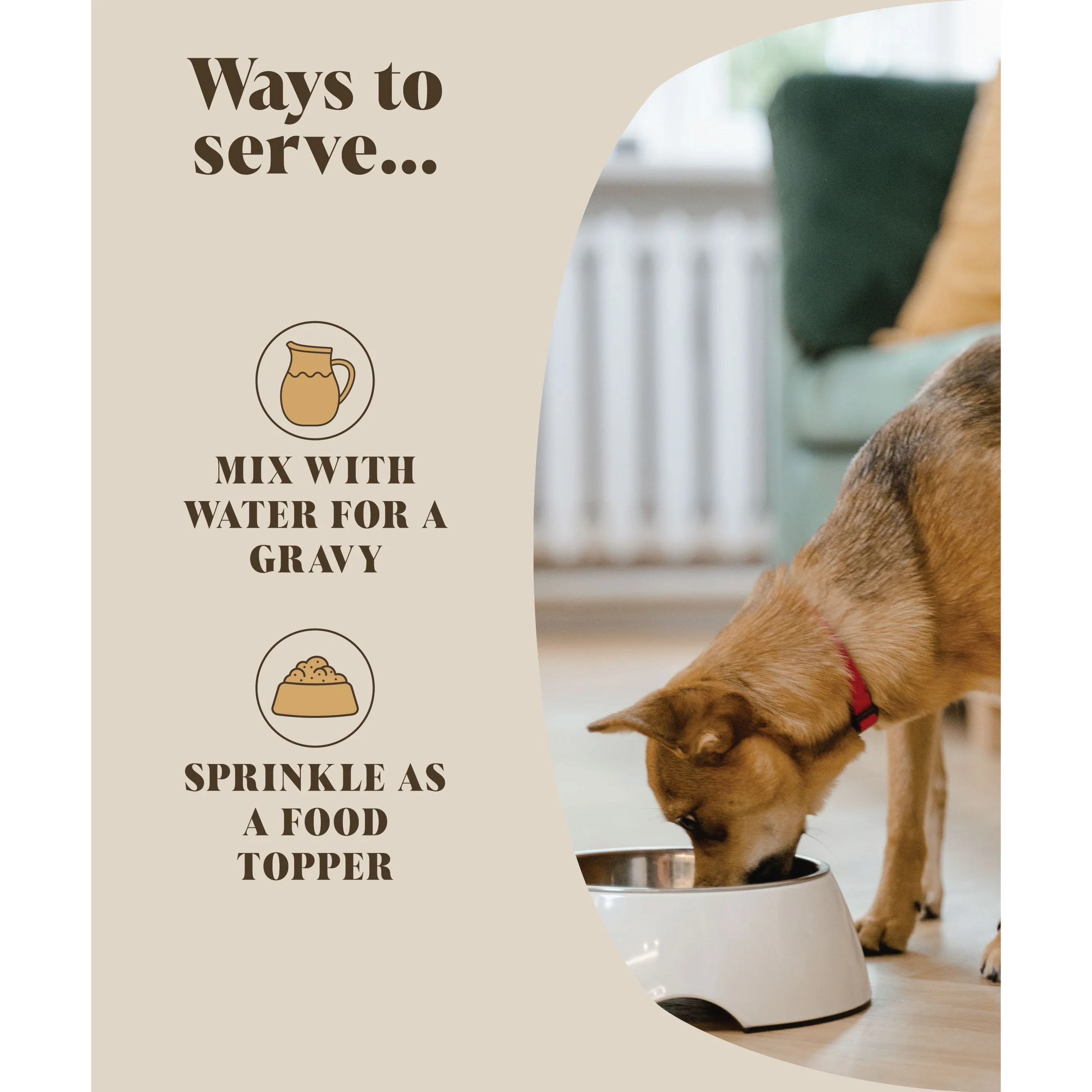 Chicken Bone Broth for Dogs | Dog Gravy Food Topper for Picky Eaters - Image 3