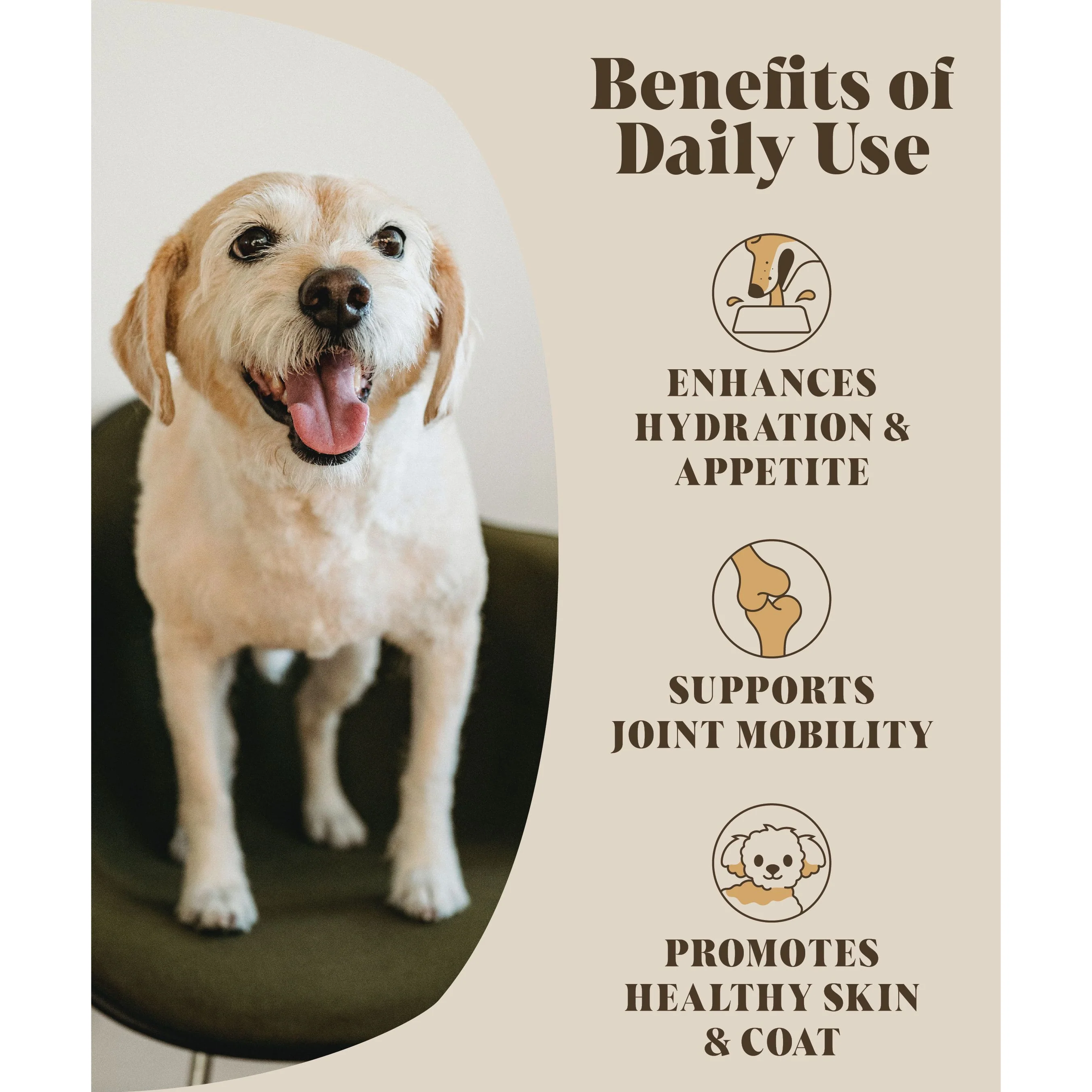 Chicken Bone Broth for Dogs | Dog Gravy Food Topper for Picky Eaters - Image 4