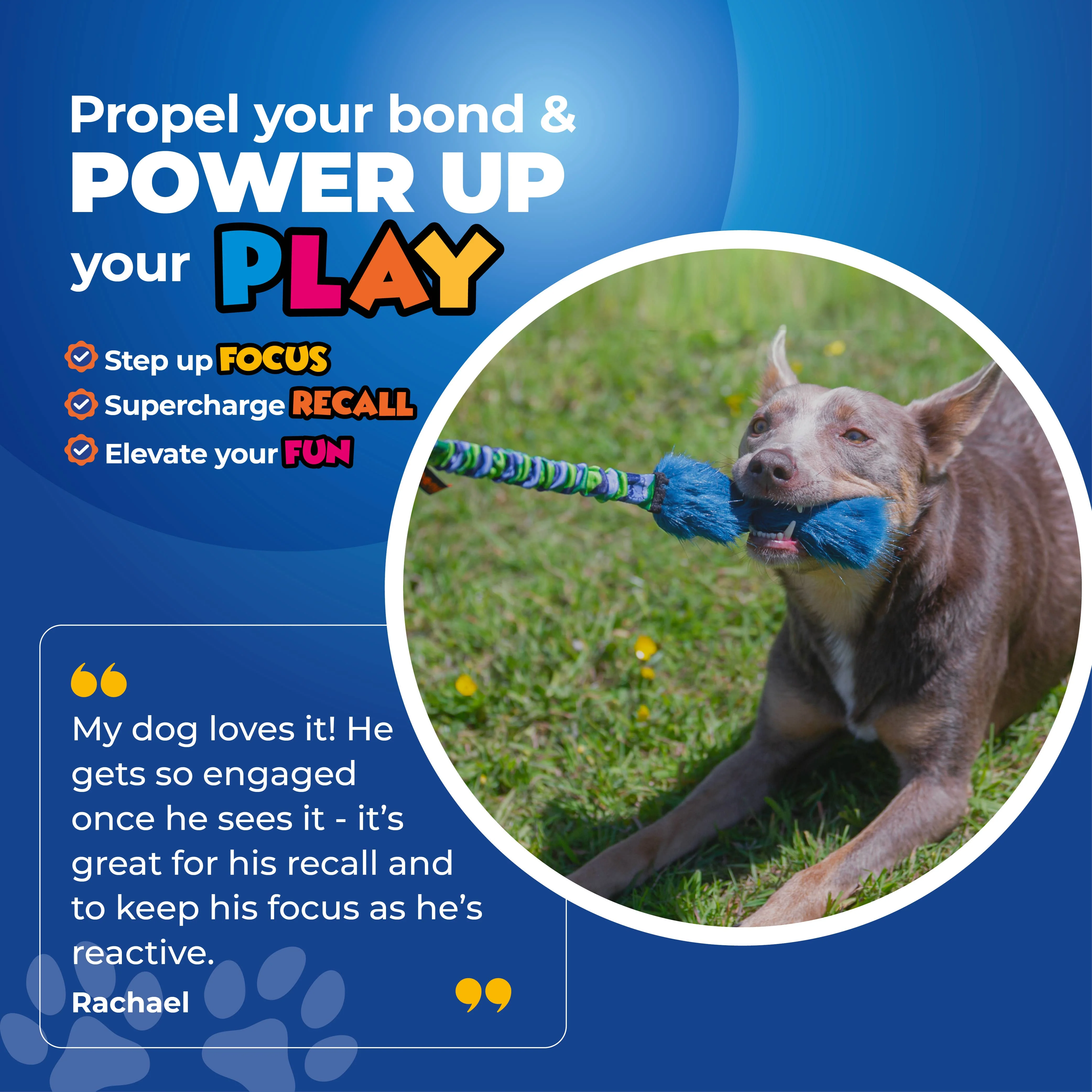 Bright Fauxtastic | Tough Dog Toy | Tug-E-Nuff - Image 8