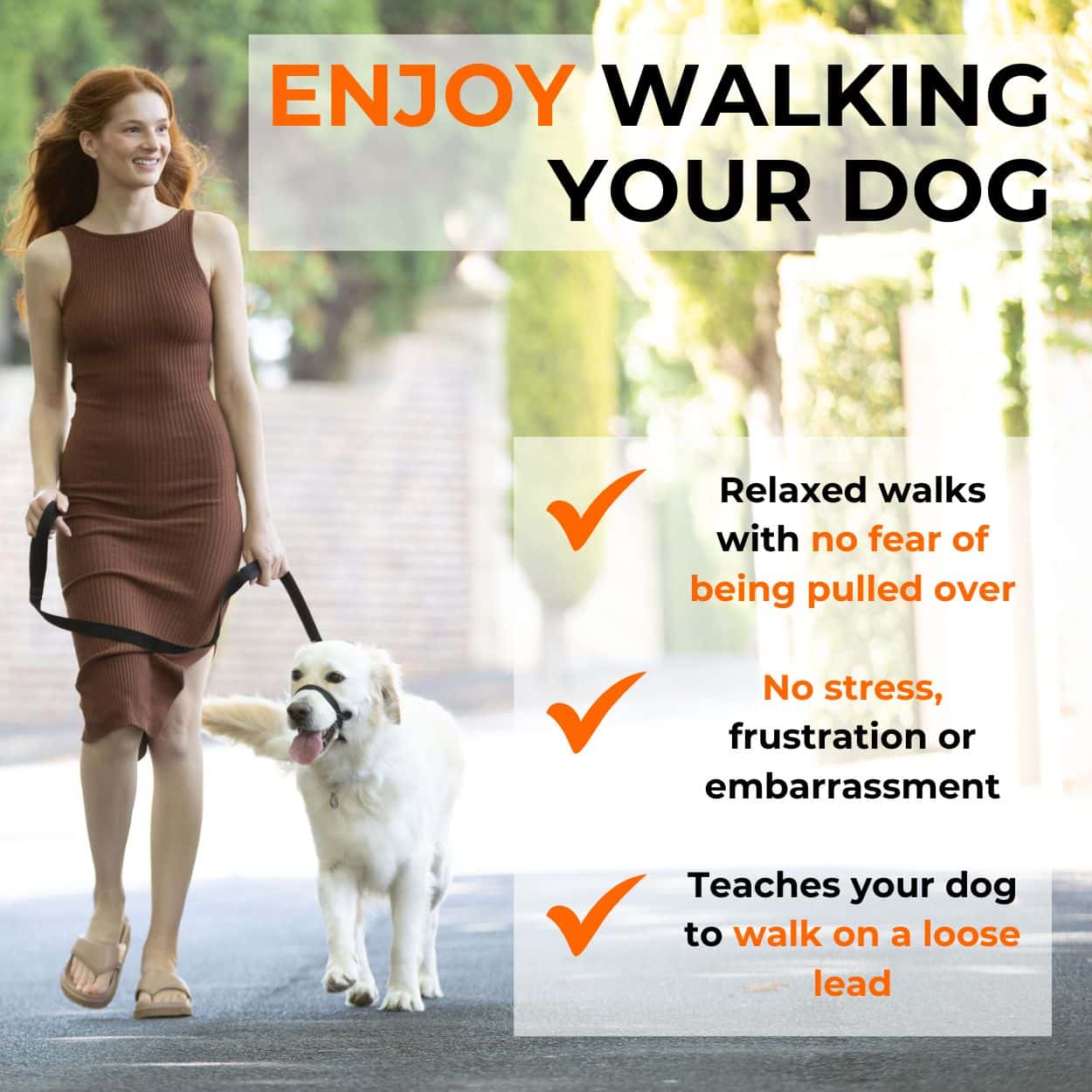 Canny Collar No Pull Dog Headcollar | Gentle, Kind, Comfy - Image 3