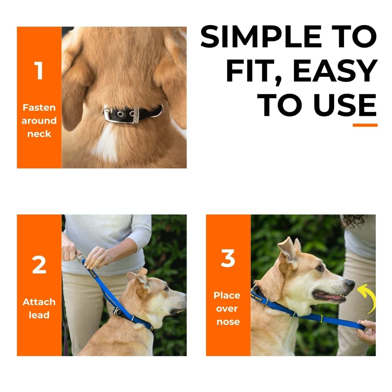 Canny Collar No Pull Dog Headcollar | Gentle, Kind, Comfy - Image 4