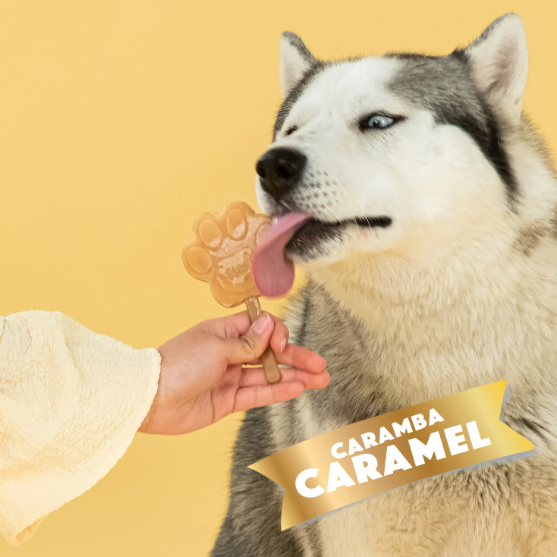 Creamy Caramel Mix for Dog Ice Cream - Image 3