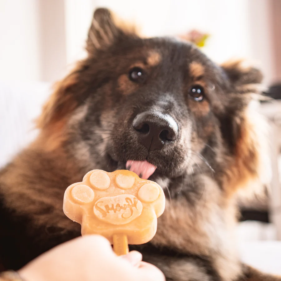 Creamy Caramel Mix for Dog Ice Cream - Image 5