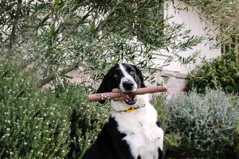 DOOG *NEW* The Stick Family -Uncle Chuck - Image 4