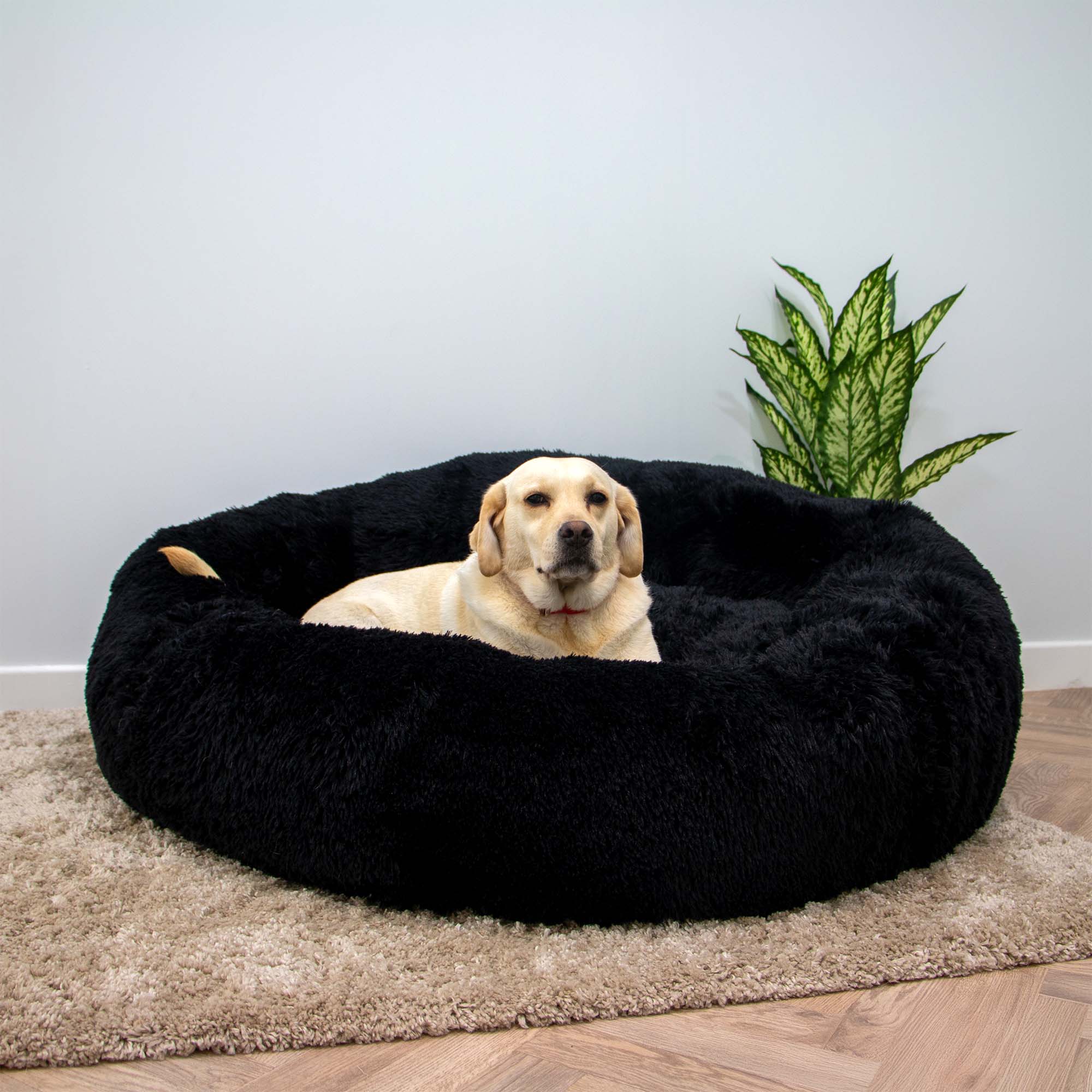 Giant Super Plush Donut Dog Bed 130cm Black - Image 3