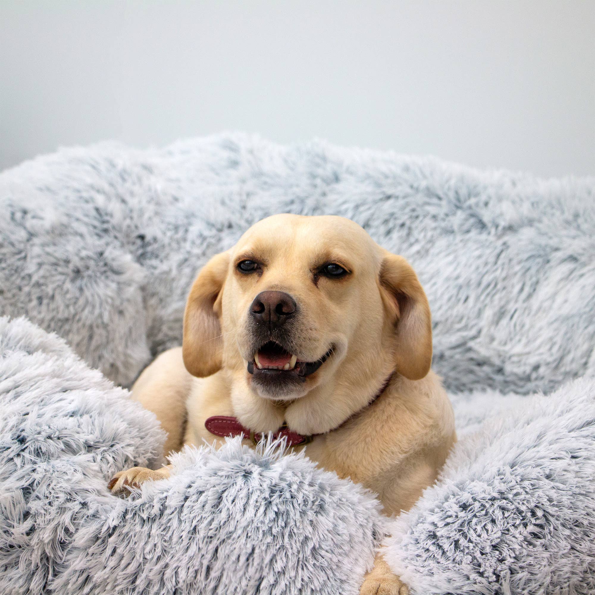 Giant Super Plush Donut Dog Bed 130cm Slate Grey - Image 3
