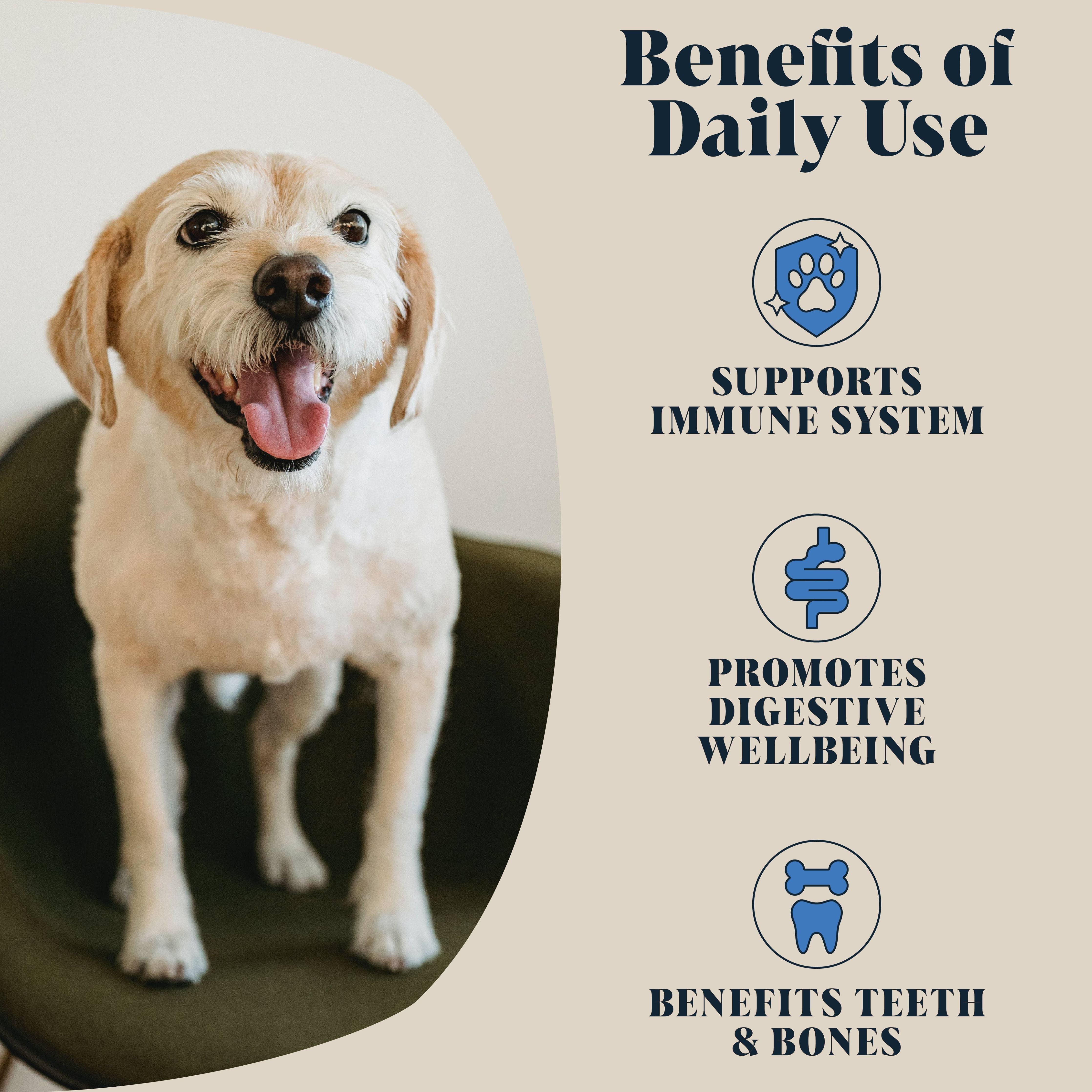 Goats Milk Powder for Dogs | Makes Twelve Pints - Image 3