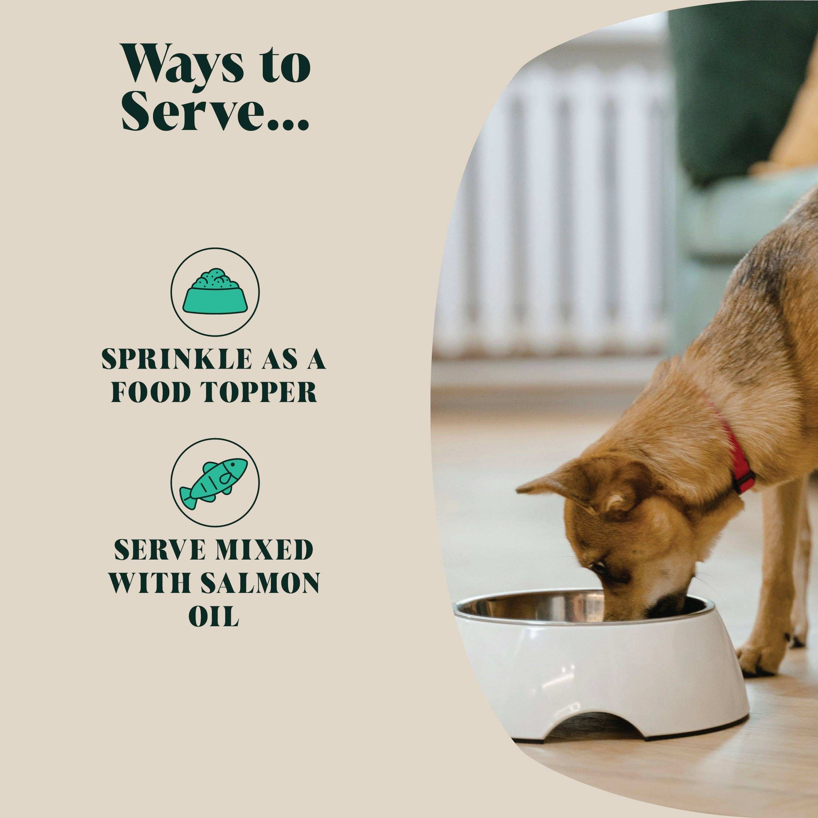 Green Lipped Mussel Powder for Dogs | 80 Servings - Image 3