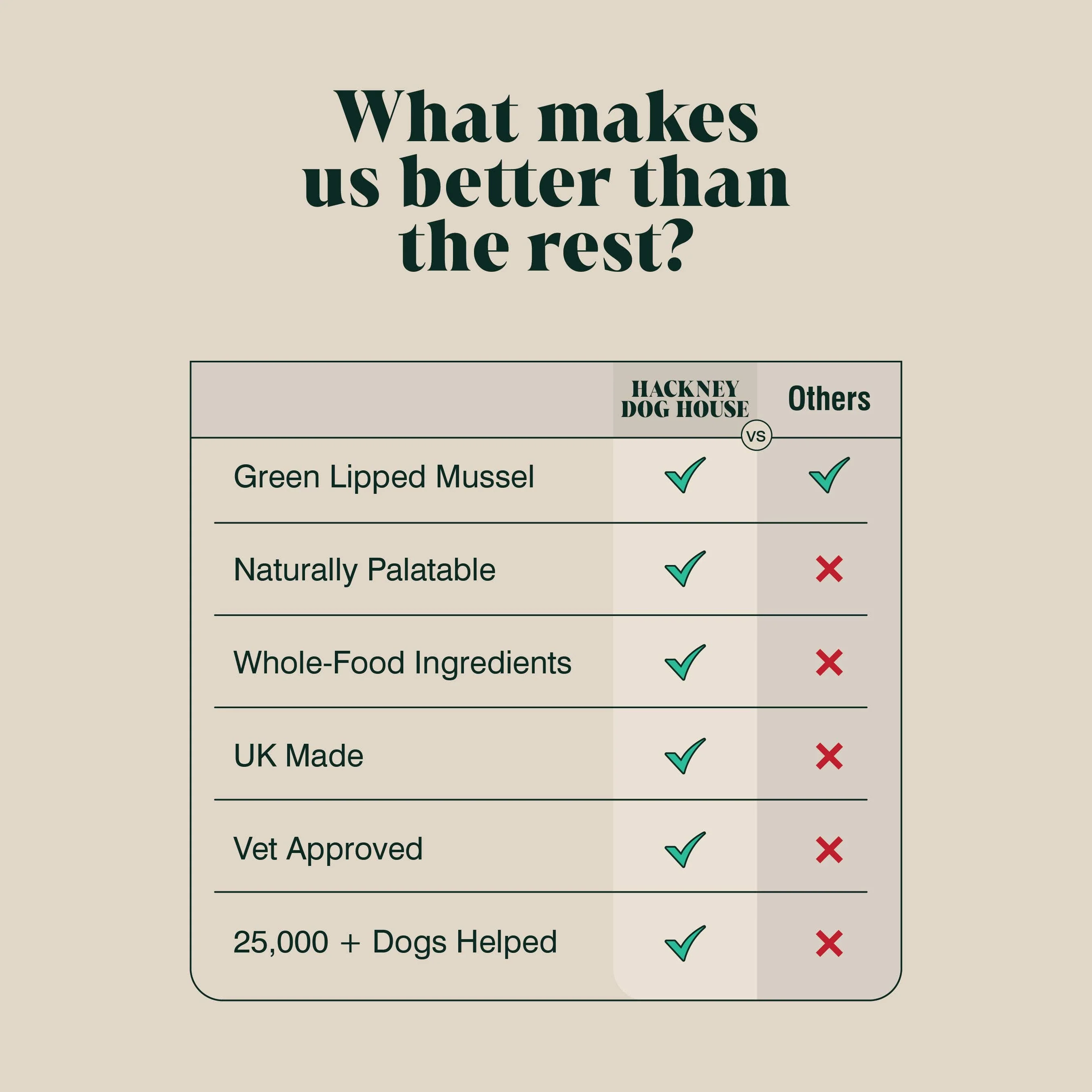 Green Lipped Mussel Powder for Dogs | 80 Servings - Image 5