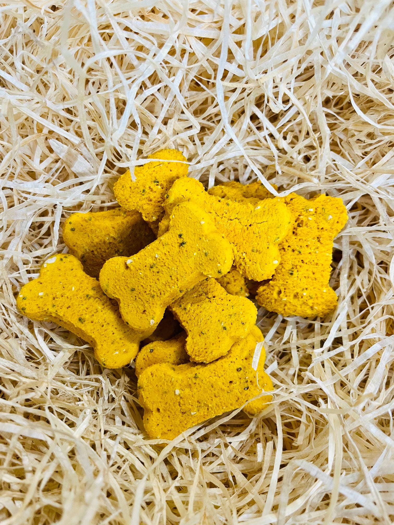 Hip & Joint Bones - Image 2