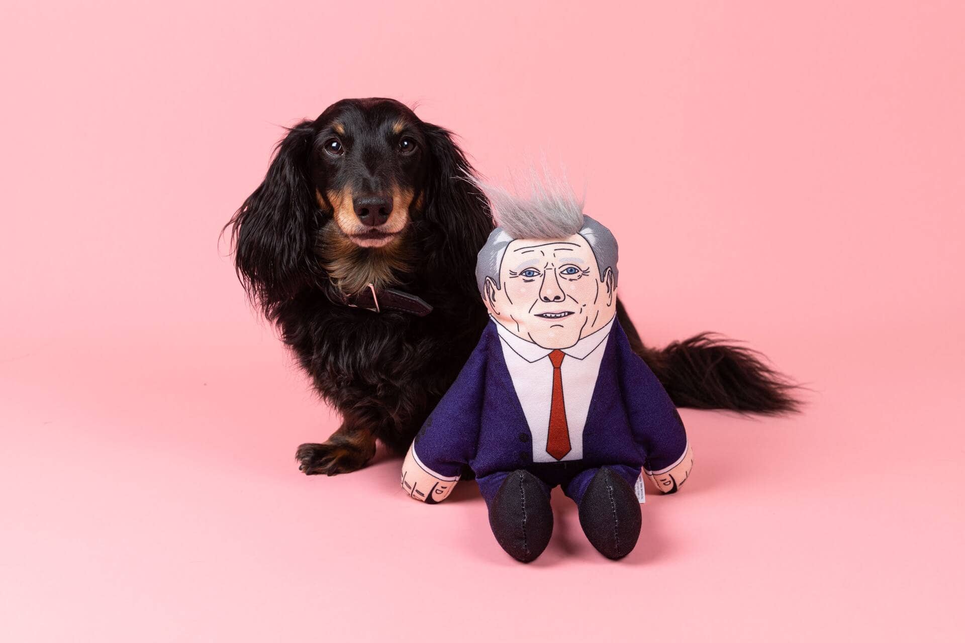 Keir dog toy - Image 2