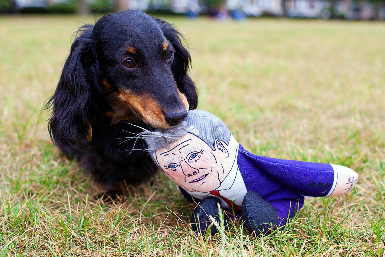 Keir dog toy - Image 3