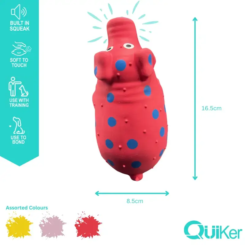 Latex Honking Pig Dog Toy - Image 3