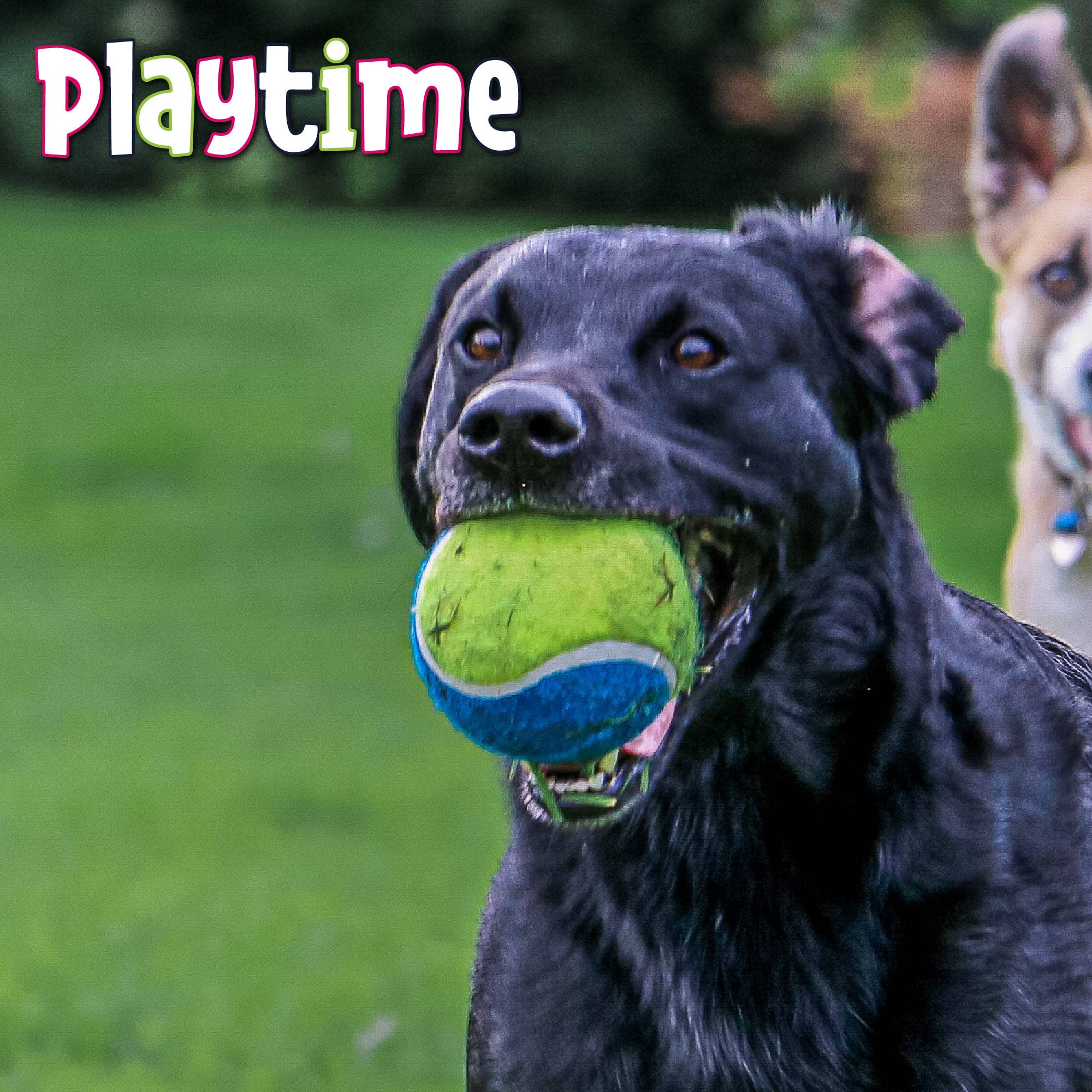 Mega Tennis Ball - Image 3