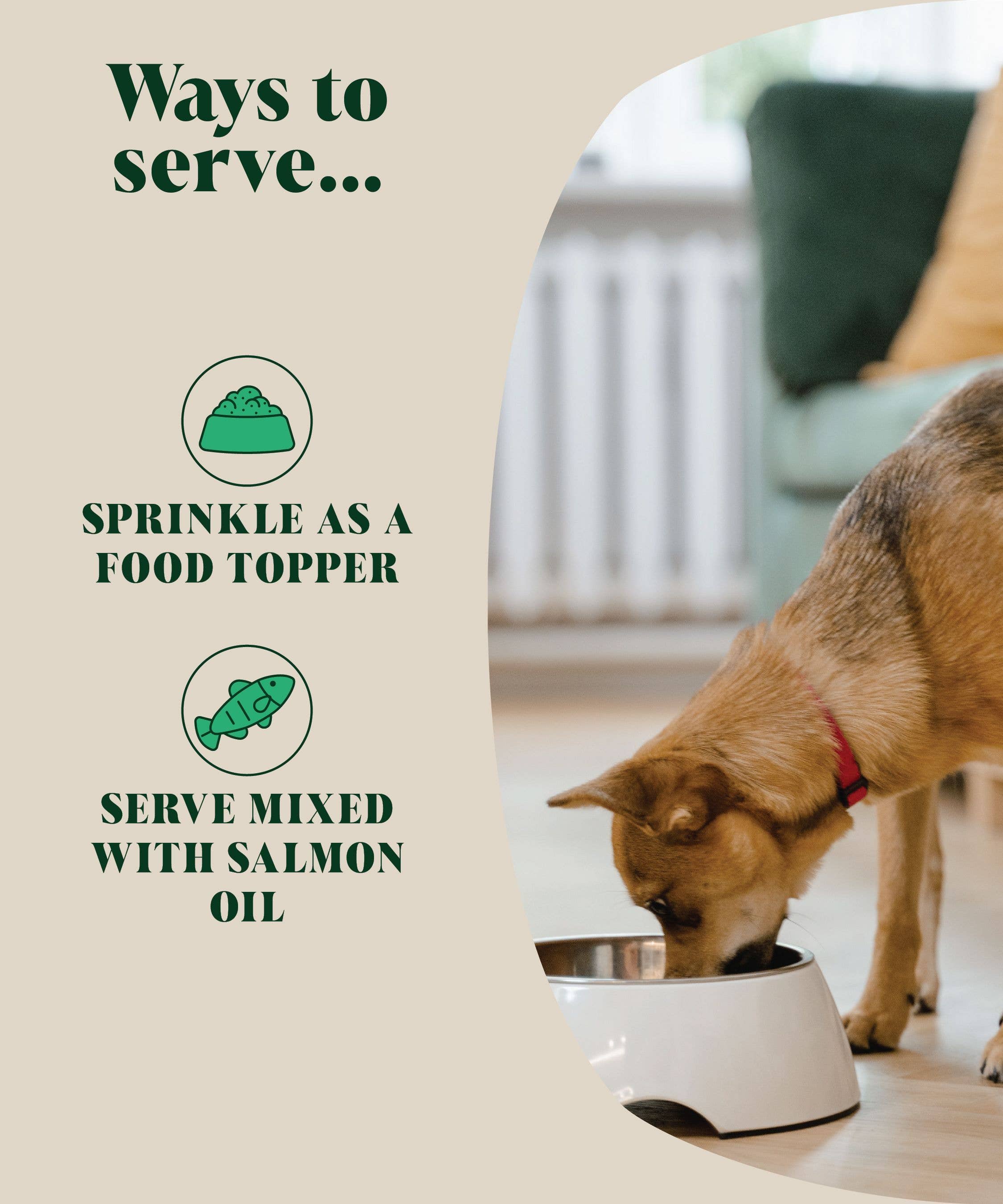 Natural Flea and Tick Powder for Dogs | Herbal Repellent - Image 3