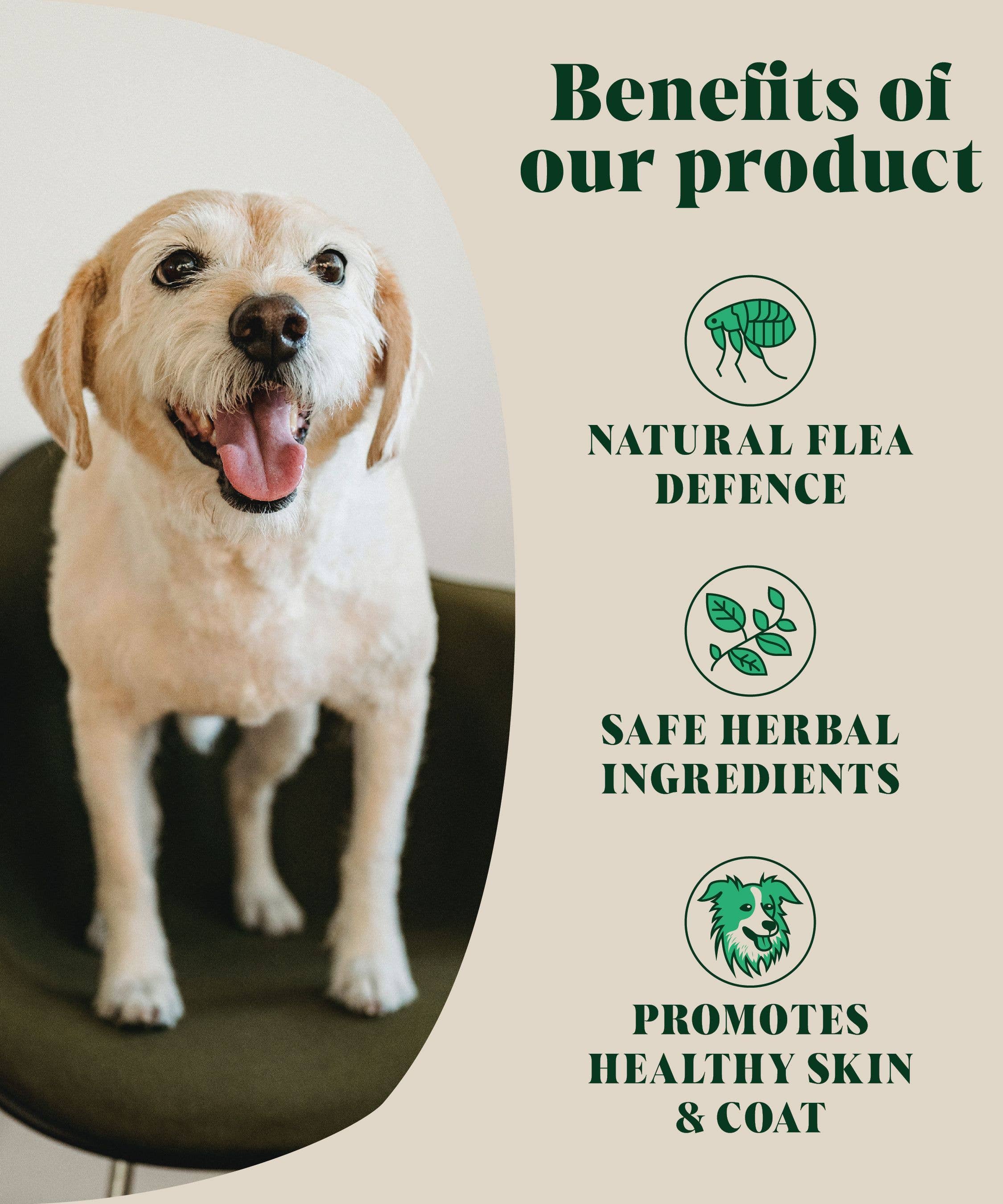 Natural Flea and Tick Powder for Dogs | Herbal Repellent - Image 4