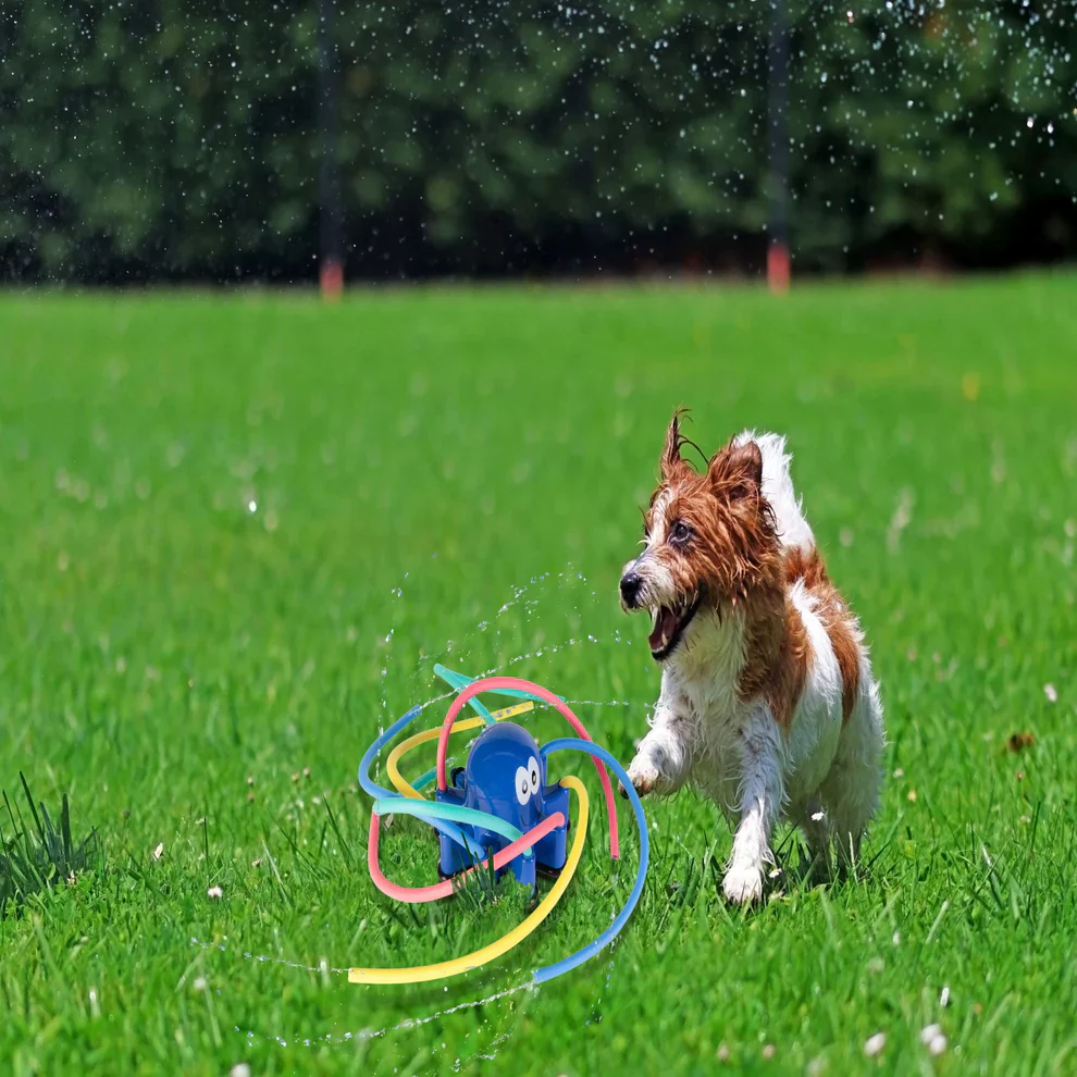 Octopus sprinkler - Image 2