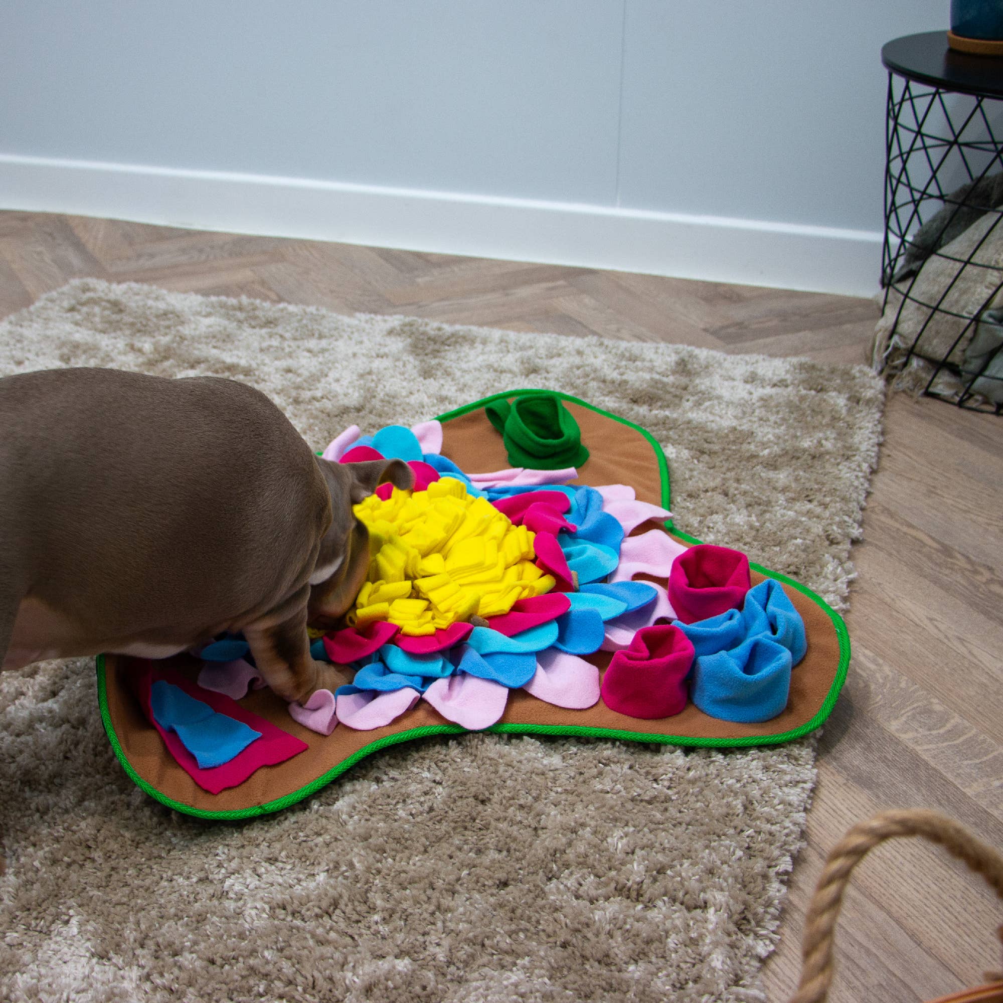 Snuffle Mat - Dog Enrichment Toy - Image 3
