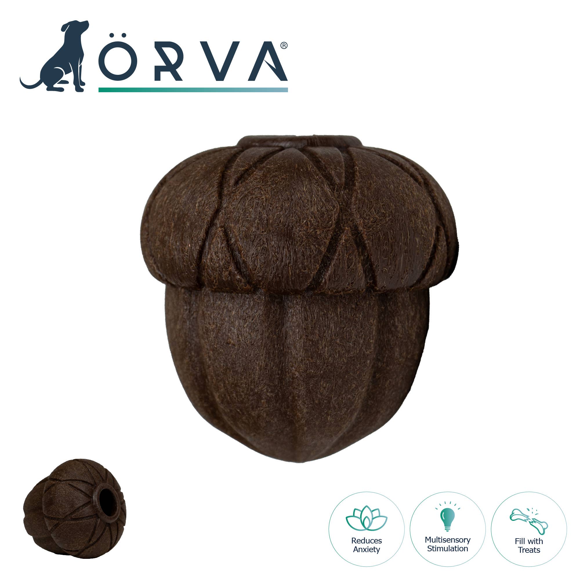 ÖRVA Tuff Stuff Acorn