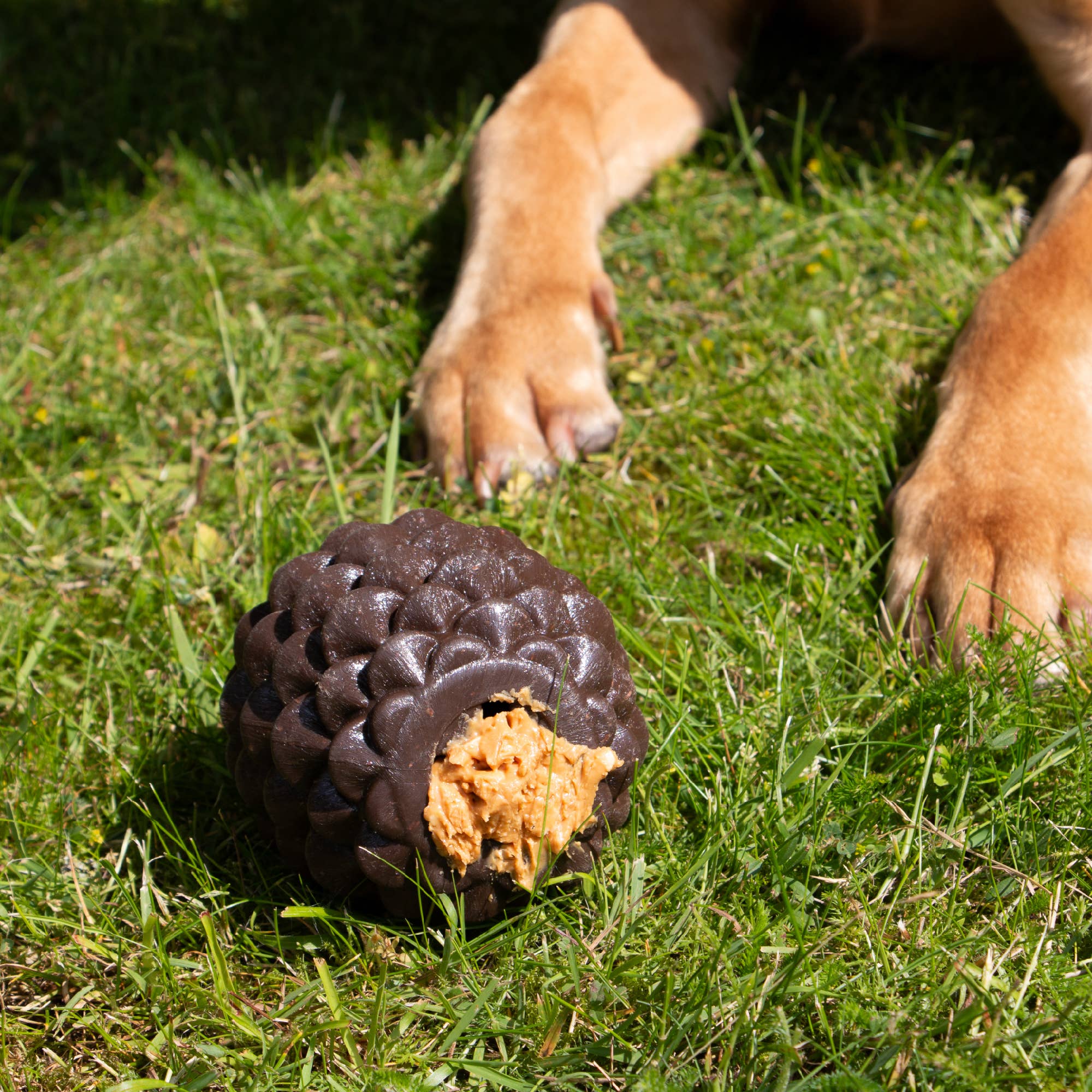 ÖRVA Tuff Stuff Pine Cone - Image 4