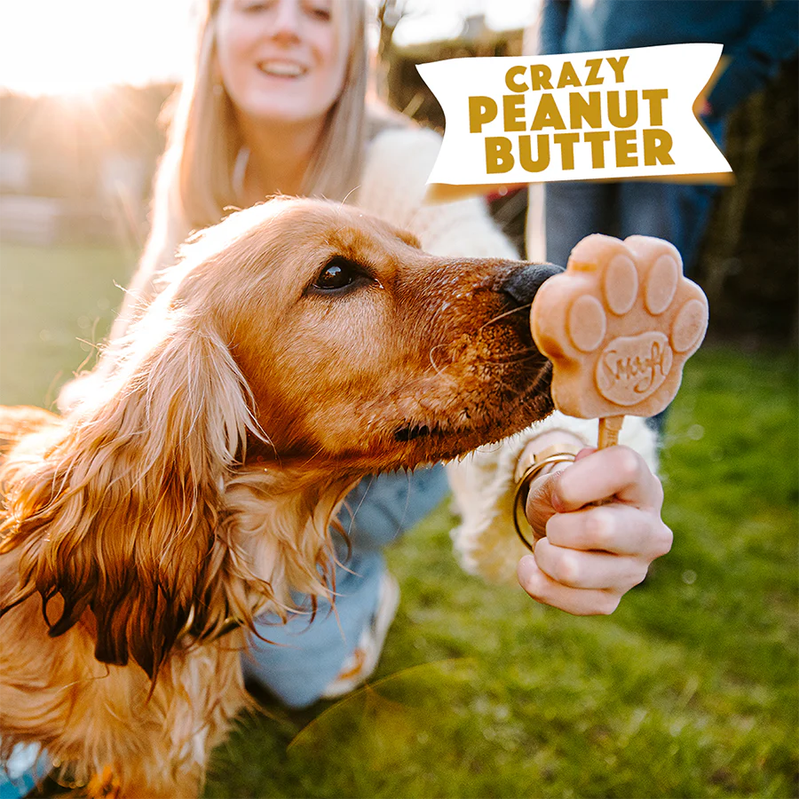 Peanut Butter Mix for Dog Ice Cream - Image 3