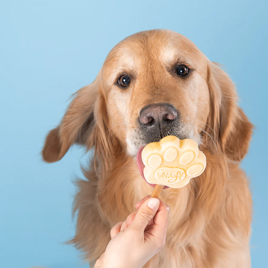 Peanut Butter Mix for Dog Ice Cream - Image 4