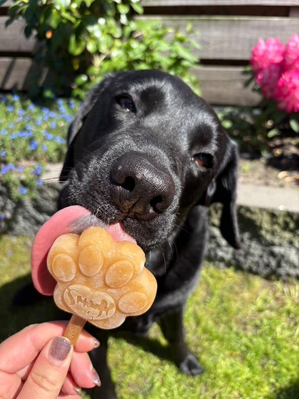 Peanut Butter Mix for Dog Ice Cream - Image 6