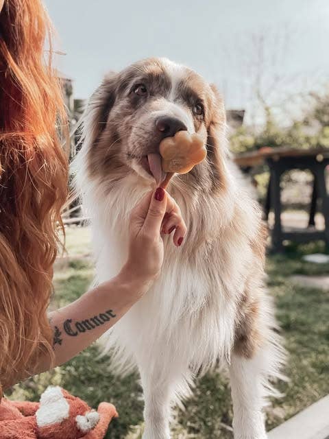 Peanut Butter Mix for Dog Ice Cream - Image 7