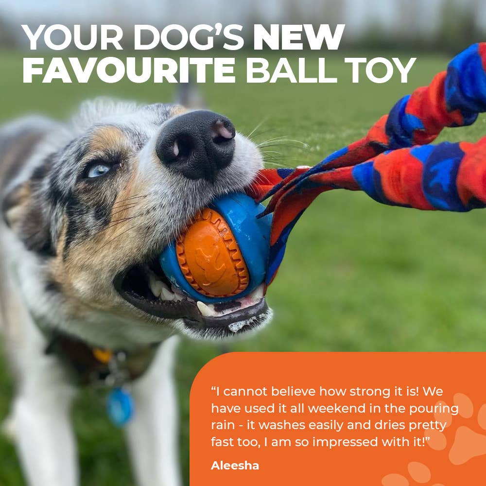 Pocket PowerBall Bungee Tug | Fetch Dog Toys | Tug-E-Nuff - Image 9