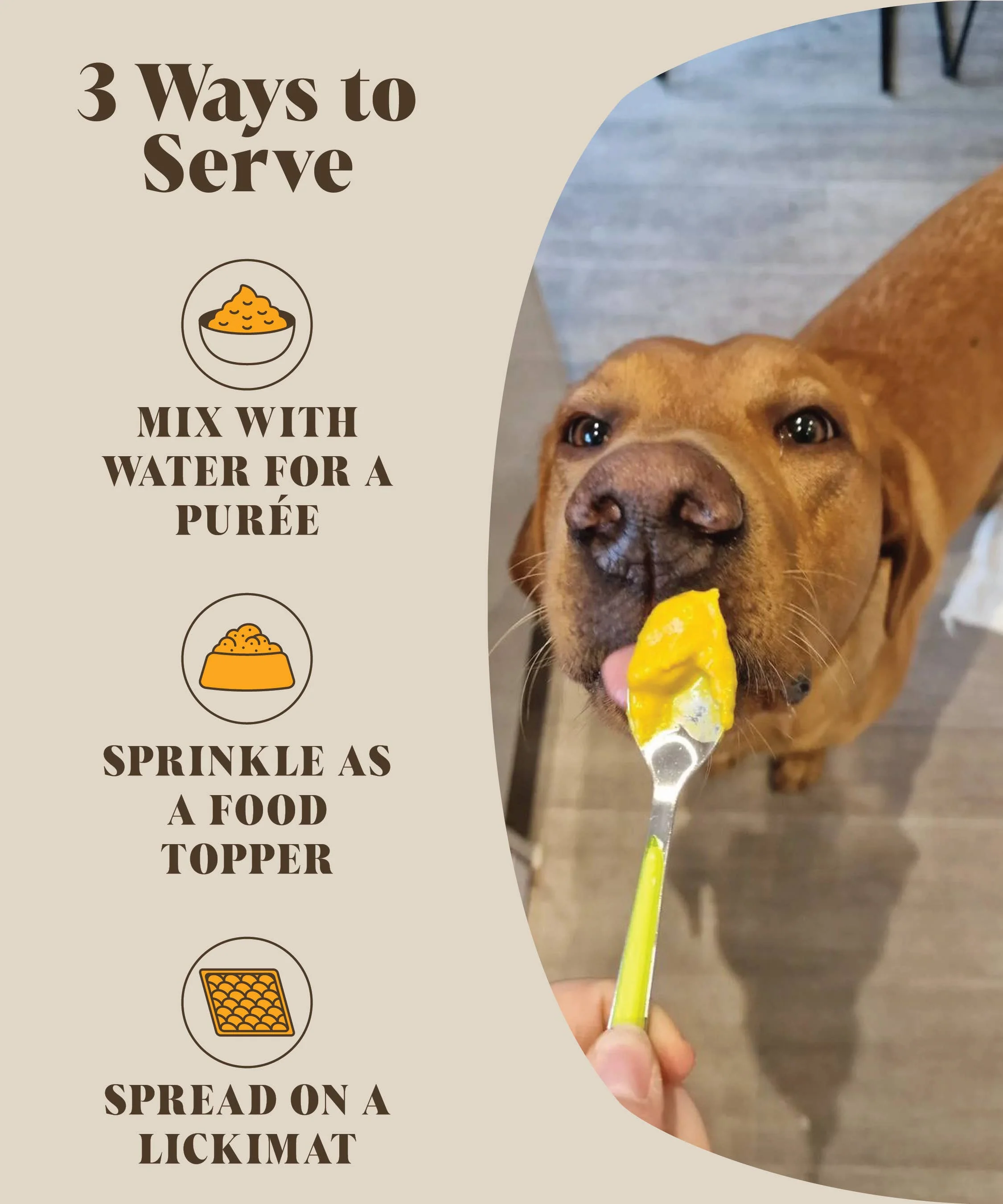 Pre & Probiotics For Dogs | Real Pumpkin Powder + Probiotic - Image 3