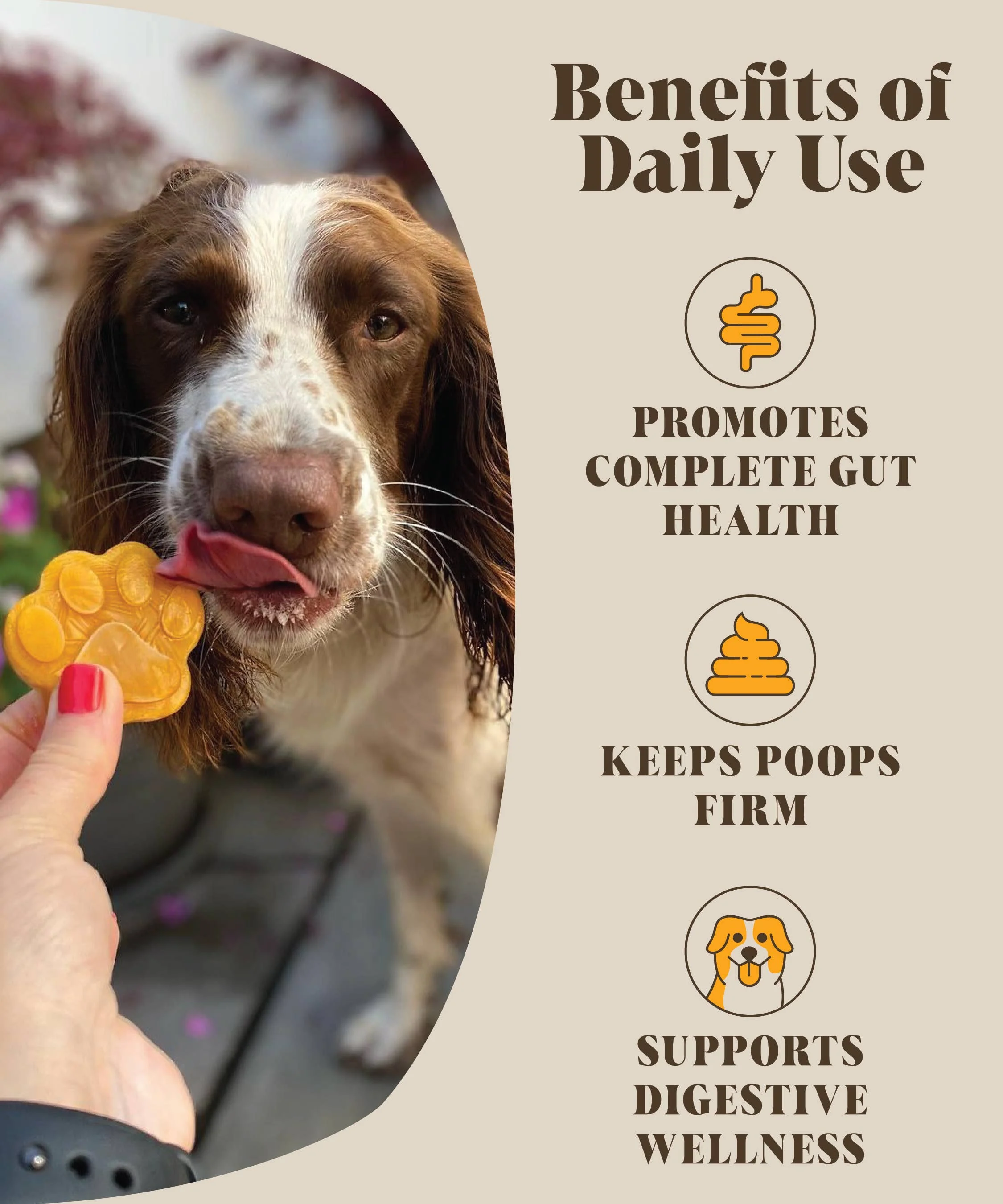 Pre & Probiotics For Dogs | Real Pumpkin Powder + Probiotic - Image 4