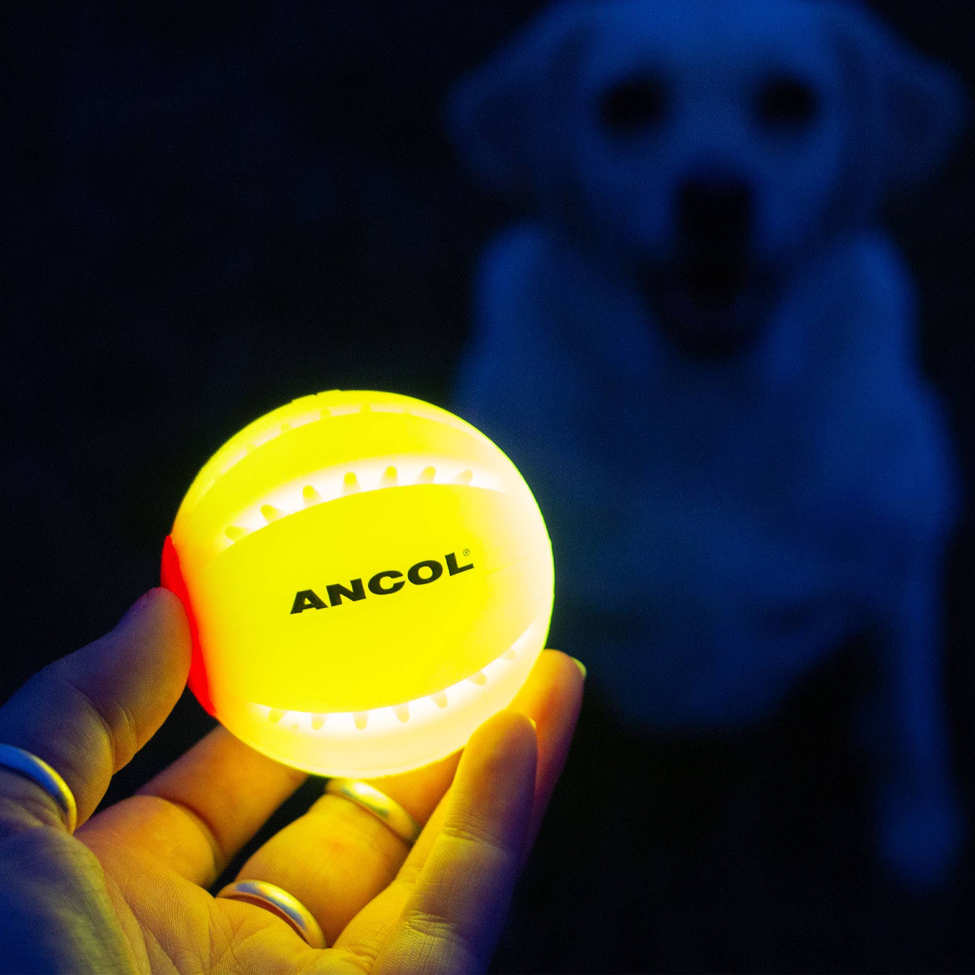 Rechargeable LED Dog Ball - Image 3
