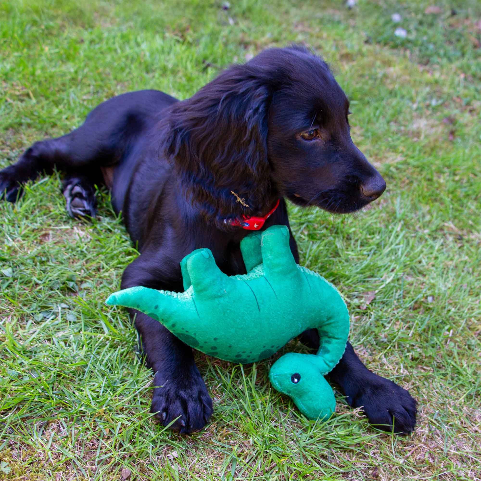 Small Bite Plush  Dino Toy for Puppies & Smaller Dogs - Image 5