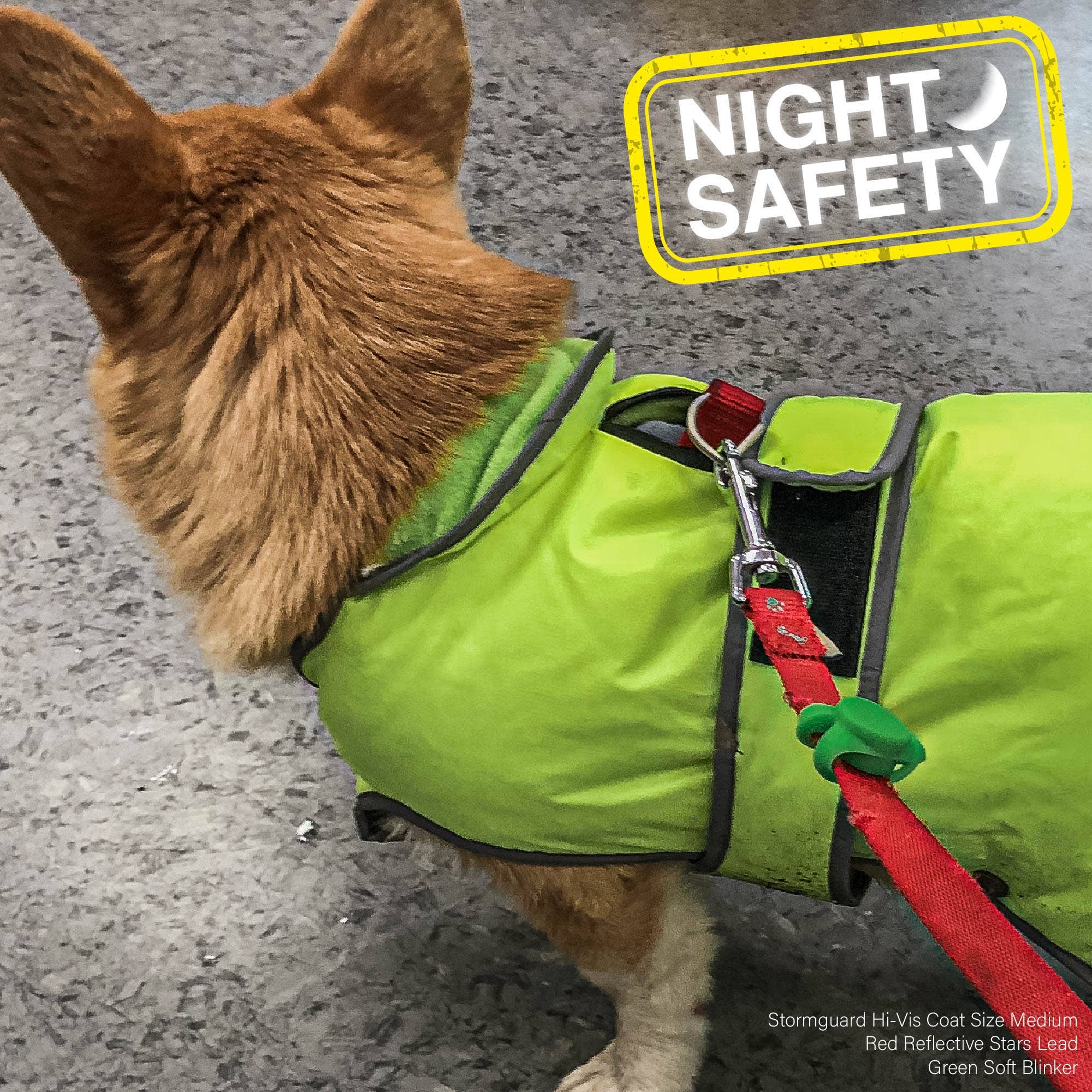 LED Soft Blinker - Safety Light for Dogs - Image 2