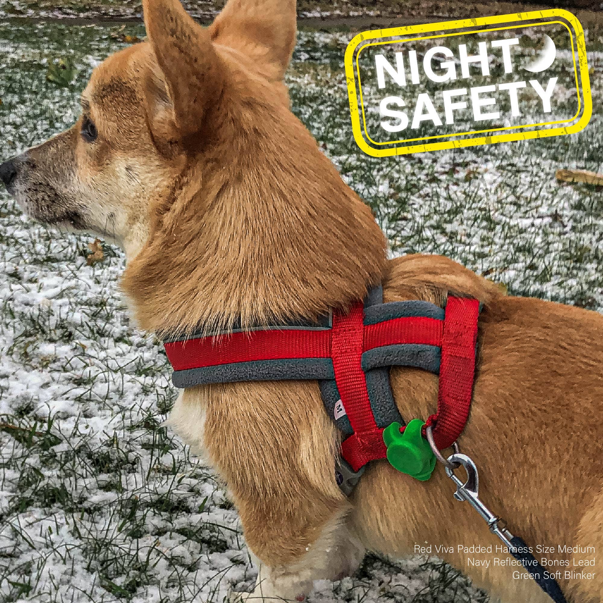 LED Soft Blinker - Safety Light for Dogs - Image 4
