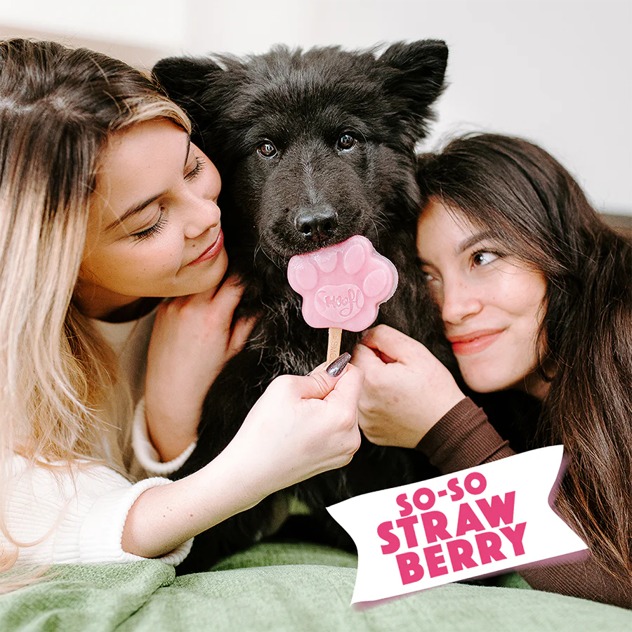 Strawberry Mix for Dog Ice Cream - Image 5