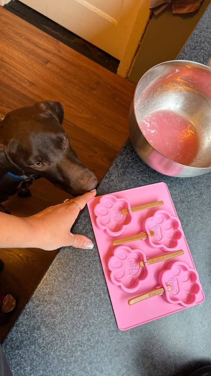 Strawberry Mix for Dog Ice Cream - Image 6