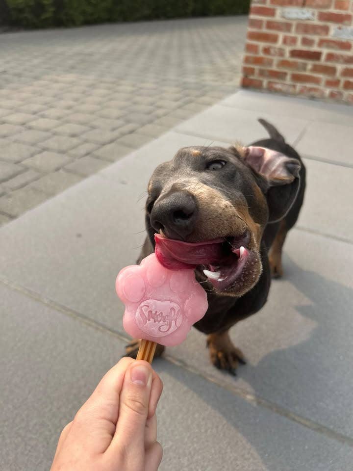 Strawberry Mix for Dog Ice Cream - Image 7