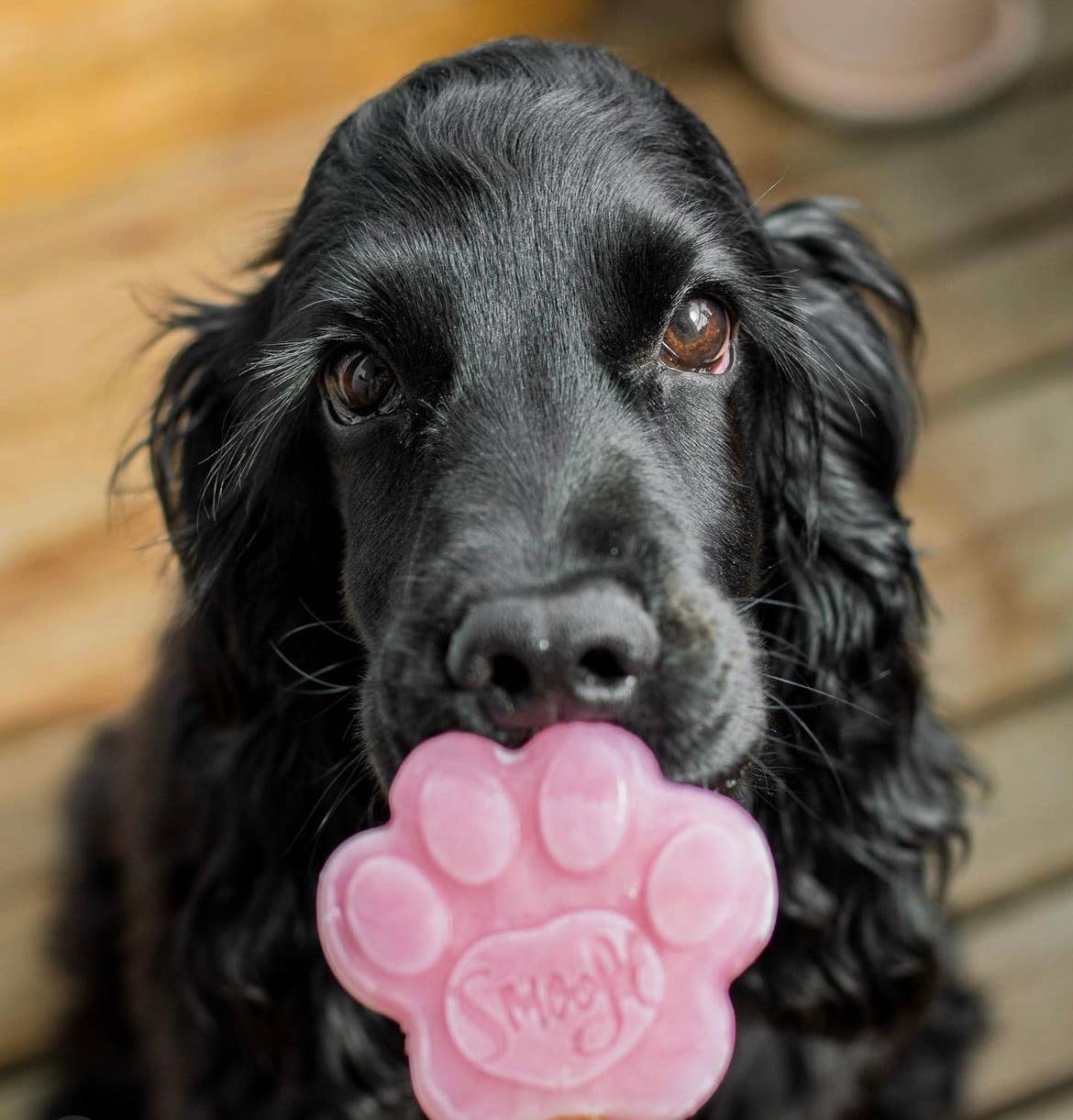 Strawberry Mix for Dog Ice Cream - Image 9