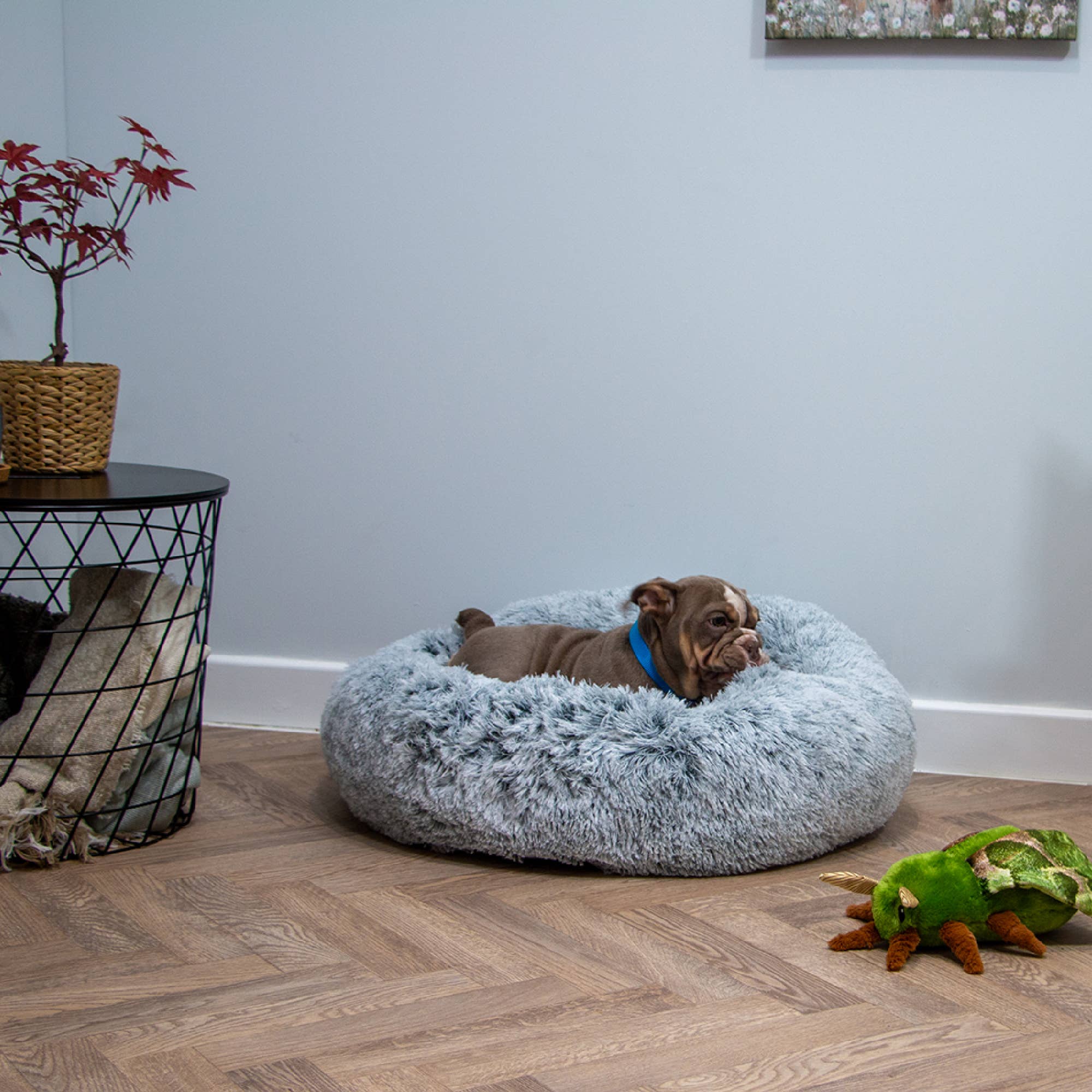 Super Soft Plush Donut Dog Bed Slate Grey - Image 3