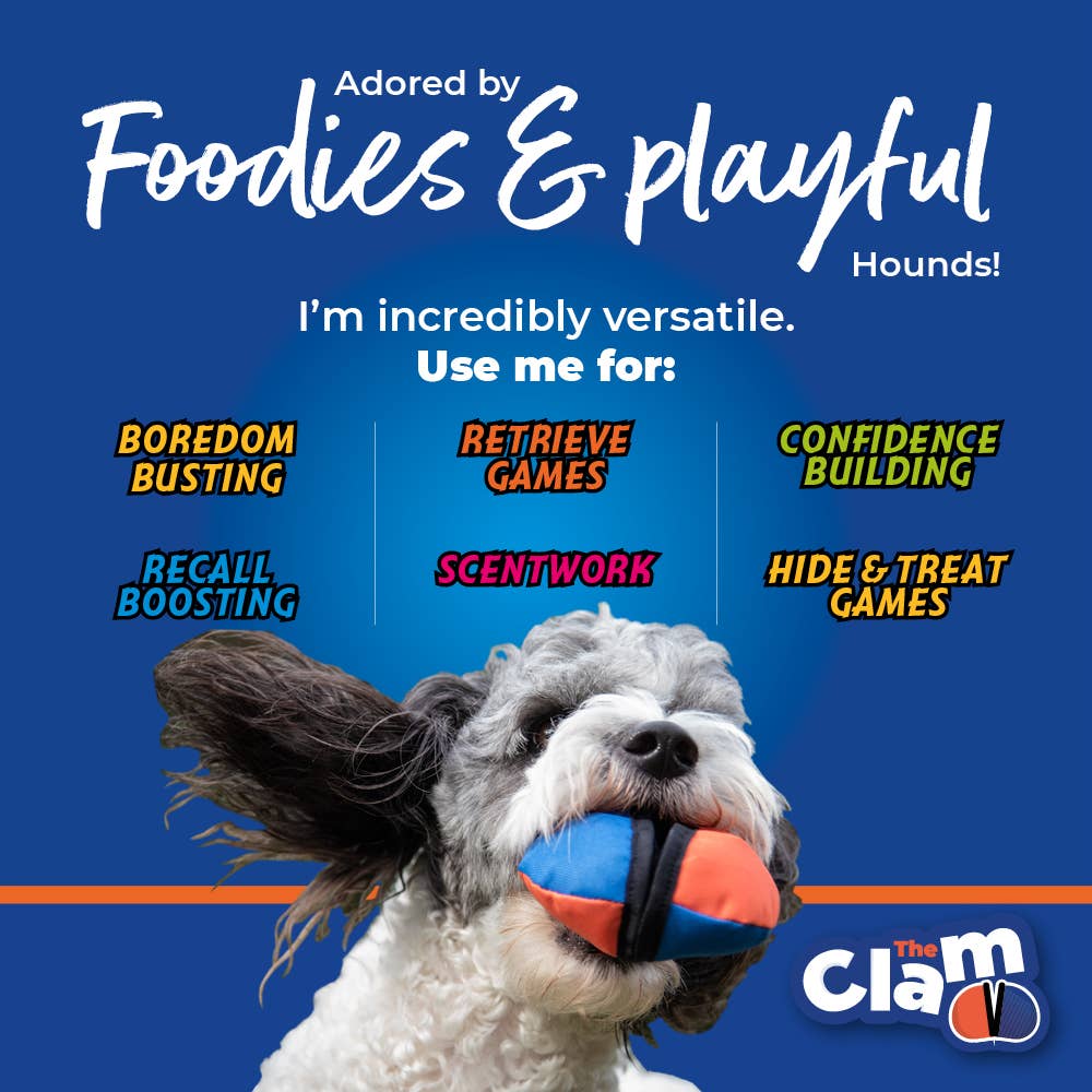 The Clam - Treat dispensing training toy - Image 9