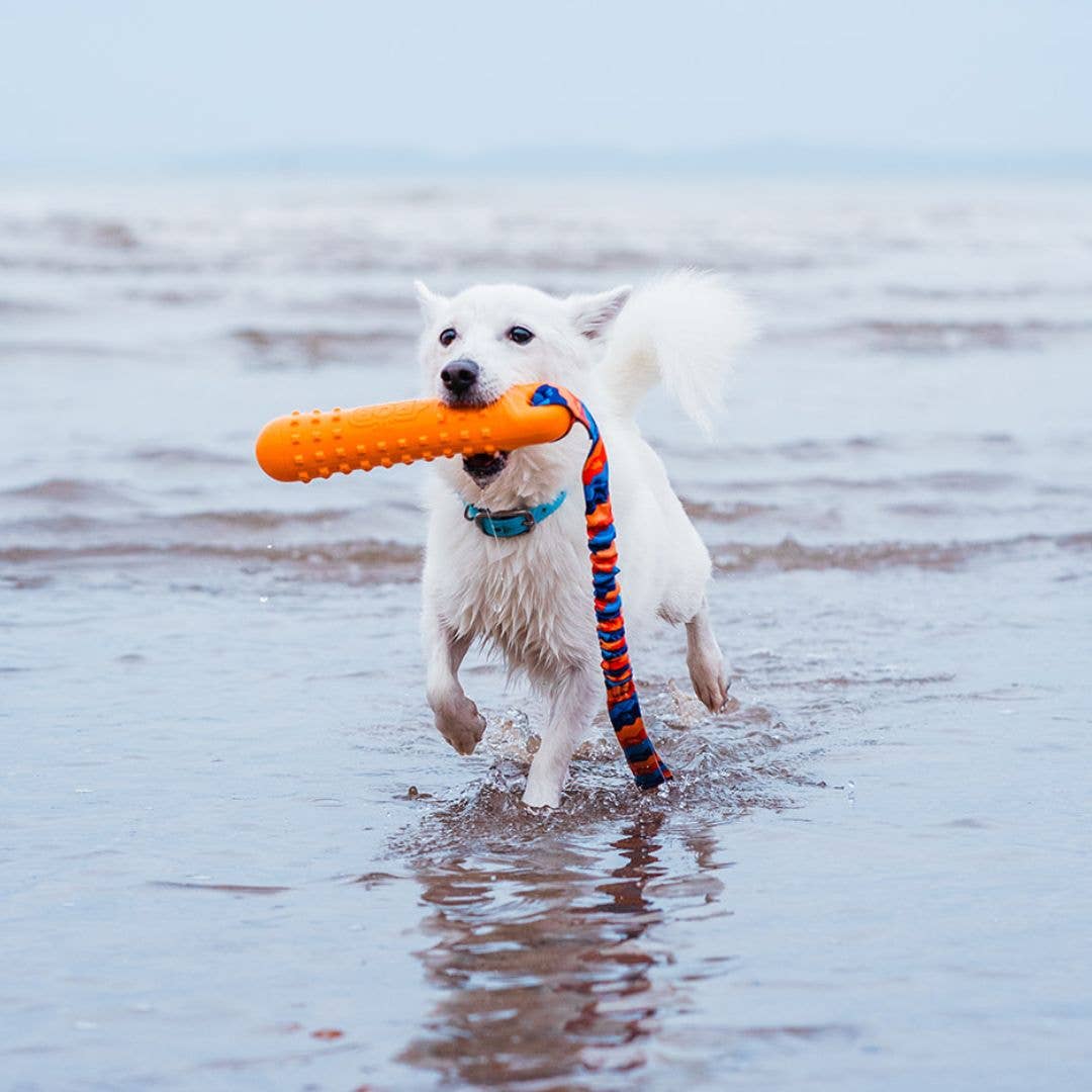 Tug-E-Nuff | BOB: The 3-in-1 Dummy | Fetch, tug, & float - Image 6