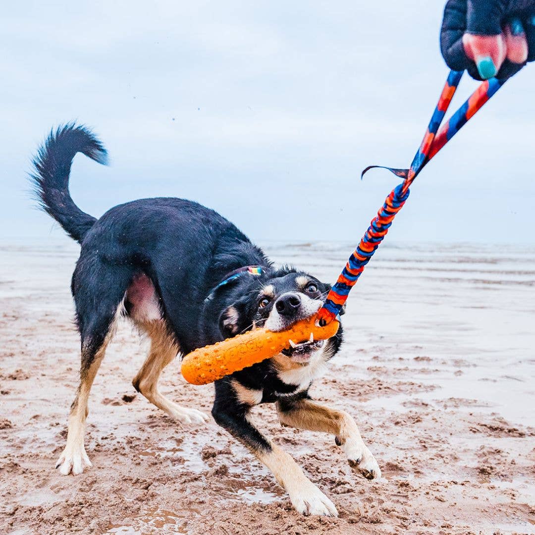 Tug-E-Nuff | BOB: The 3-in-1 Dummy | Fetch, tug, & float - Image 8