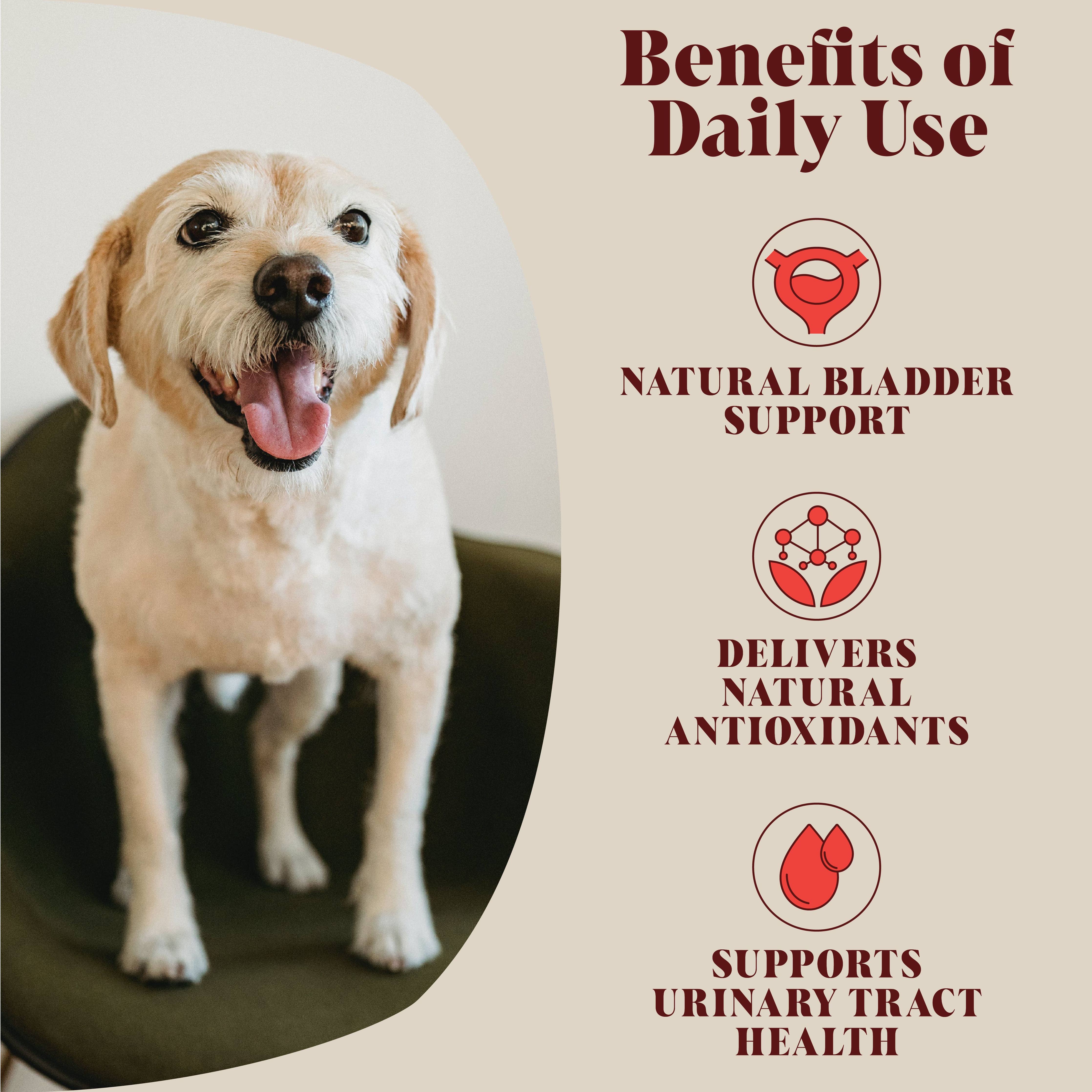 Urinary Cranberry for Dogs | 40 Servings - Image 3