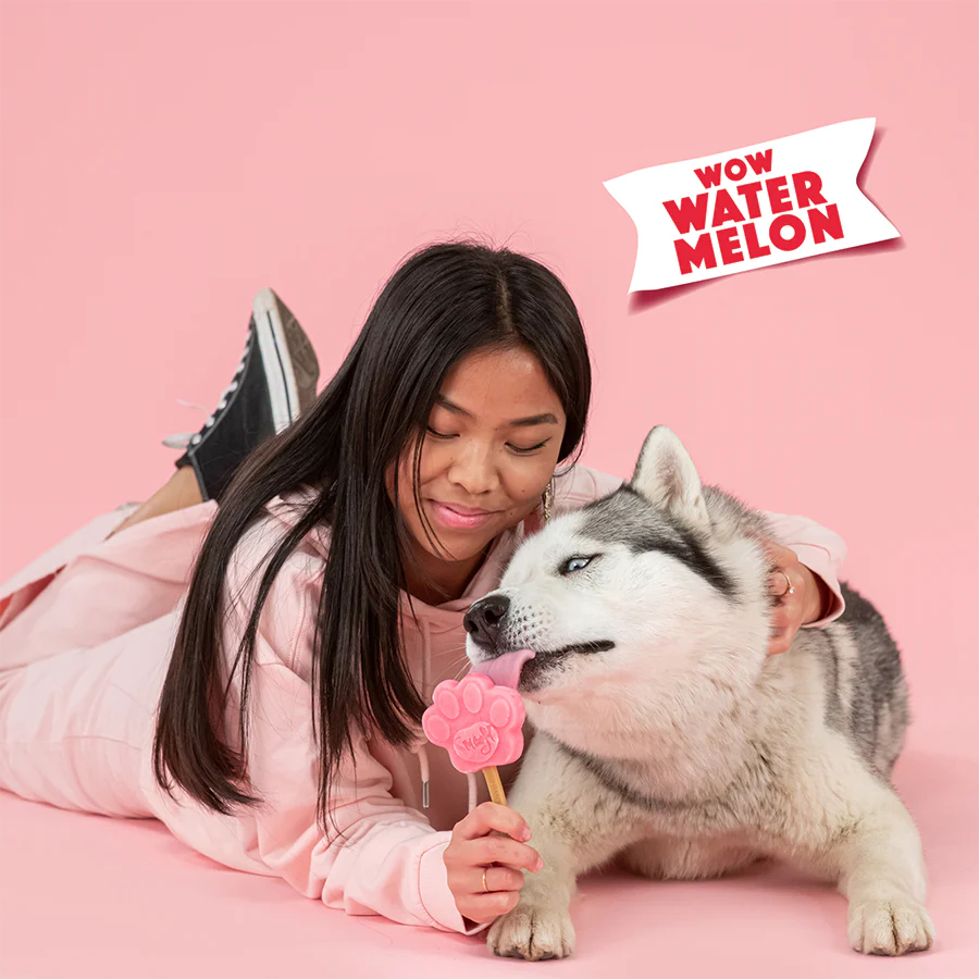 Watermelon Mix for Dog Ice Cream - Image 3