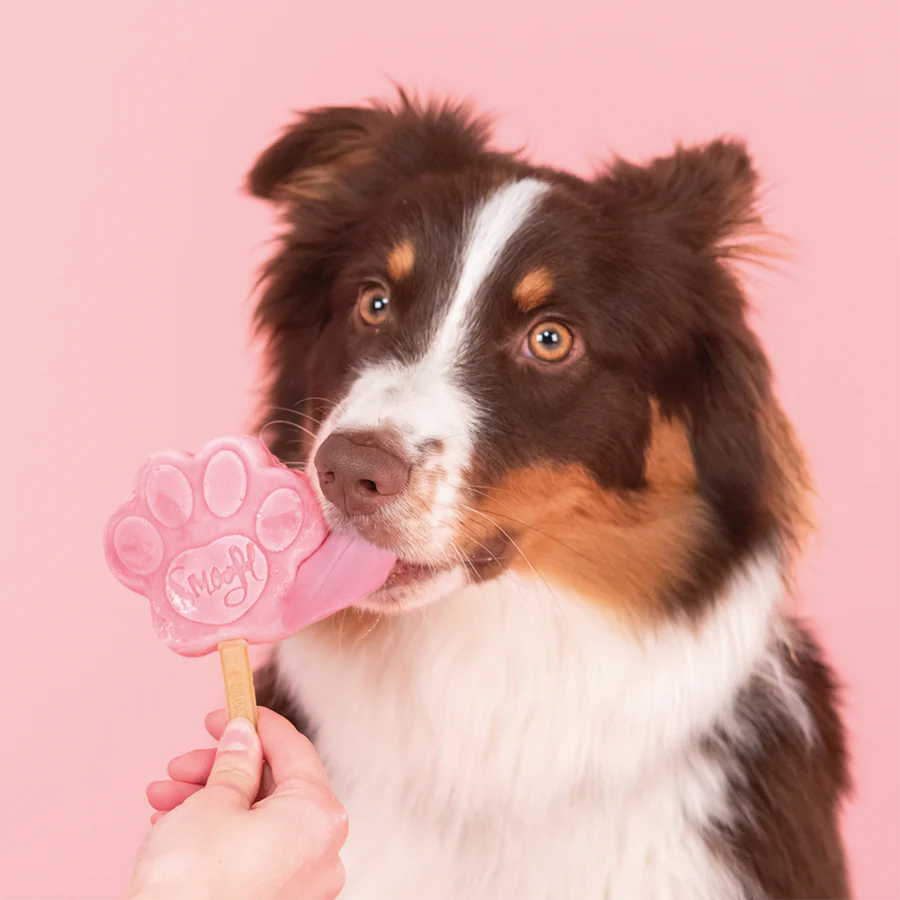 Watermelon Mix for Dog Ice Cream - Image 5